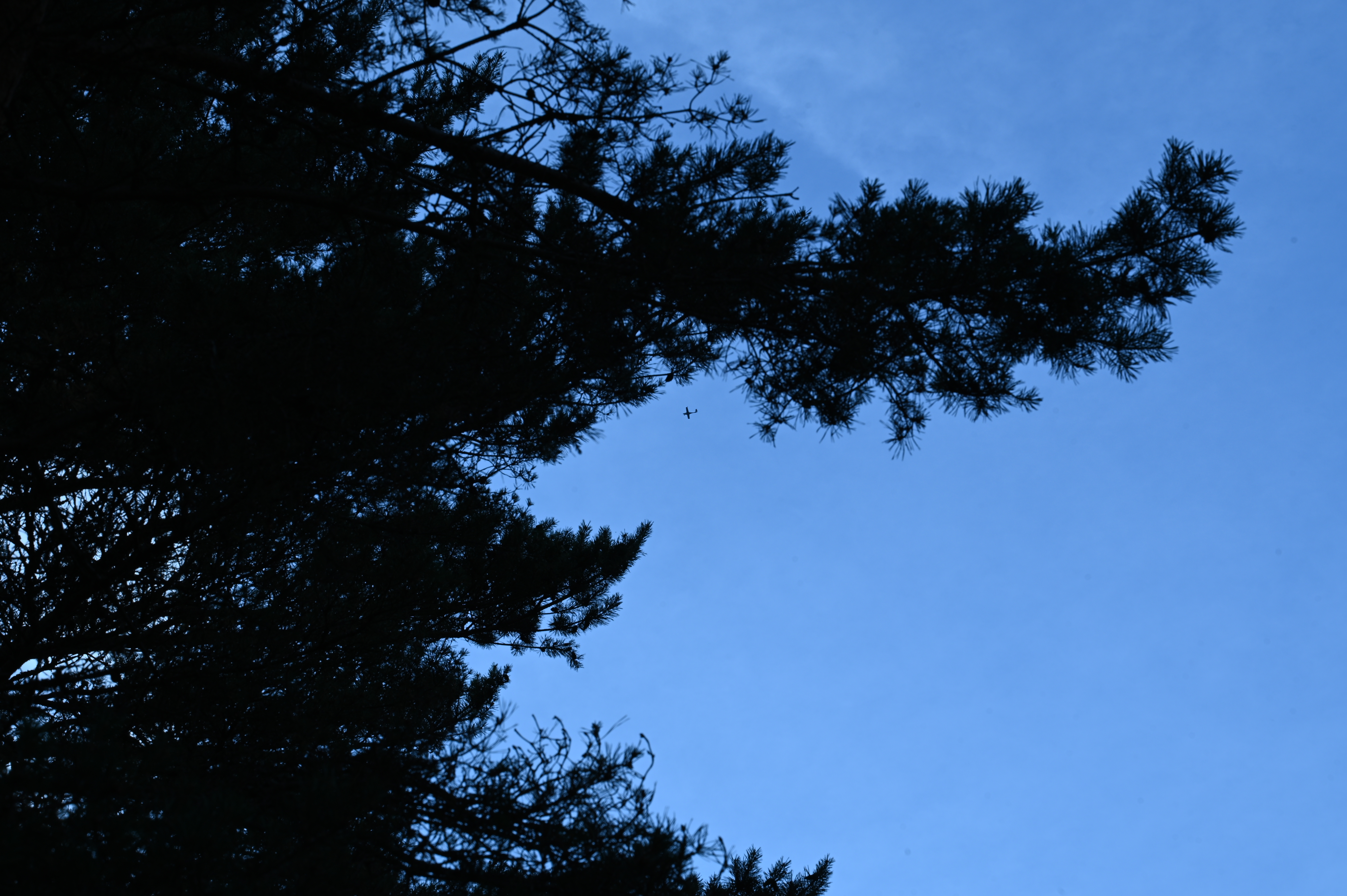 2025/07/09-14 - trip/DSC_0070.JPG